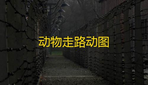 云暗区突围下载动物走路动图